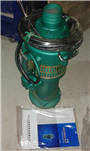 QY10-54-3抽河水潛水泵